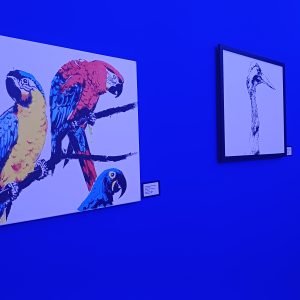 Exposicao em jogo arte natureza e memoria pinacoteca potiguar_jose jonatas_assecom fja rn (3)