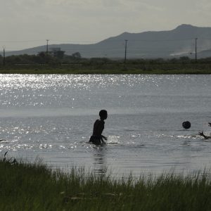 WhatsApp-Image-2026-03-17-at-15.04.43